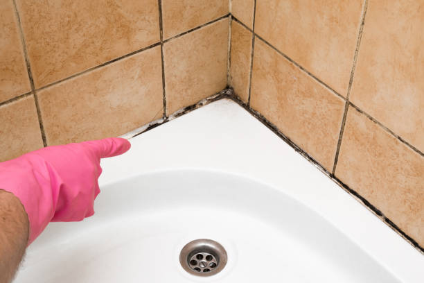 Best Mold Testing  in Goodhue, MN